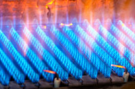 Lixwm gas fired boilers